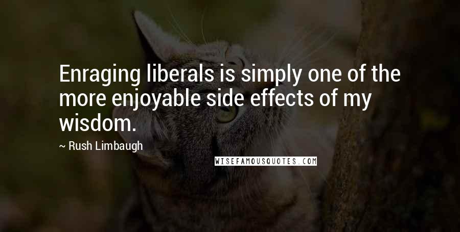 Rush Limbaugh Quotes: Enraging liberals is simply one of the more enjoyable side effects of my wisdom.