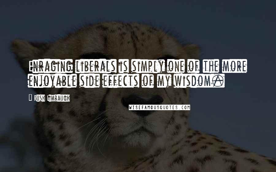 Rush Limbaugh Quotes: Enraging liberals is simply one of the more enjoyable side effects of my wisdom.