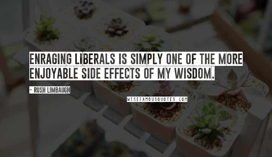 Rush Limbaugh Quotes: Enraging liberals is simply one of the more enjoyable side effects of my wisdom.