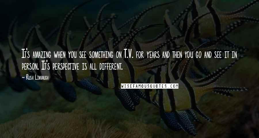 Rush Limbaugh Quotes: It's amazing when you see something on T.V. for years and then you go and see it in person. It's perspective is all different.