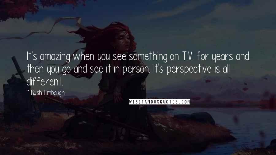 Rush Limbaugh Quotes: It's amazing when you see something on T.V. for years and then you go and see it in person. It's perspective is all different.