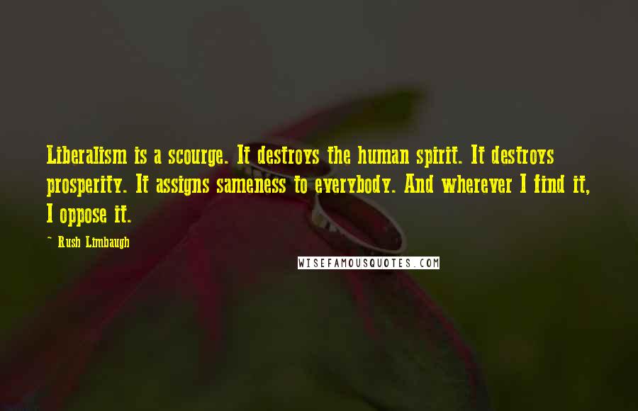 Rush Limbaugh Quotes: Liberalism is a scourge. It destroys the human spirit. It destroys prosperity. It assigns sameness to everybody. And wherever I find it, I oppose it.