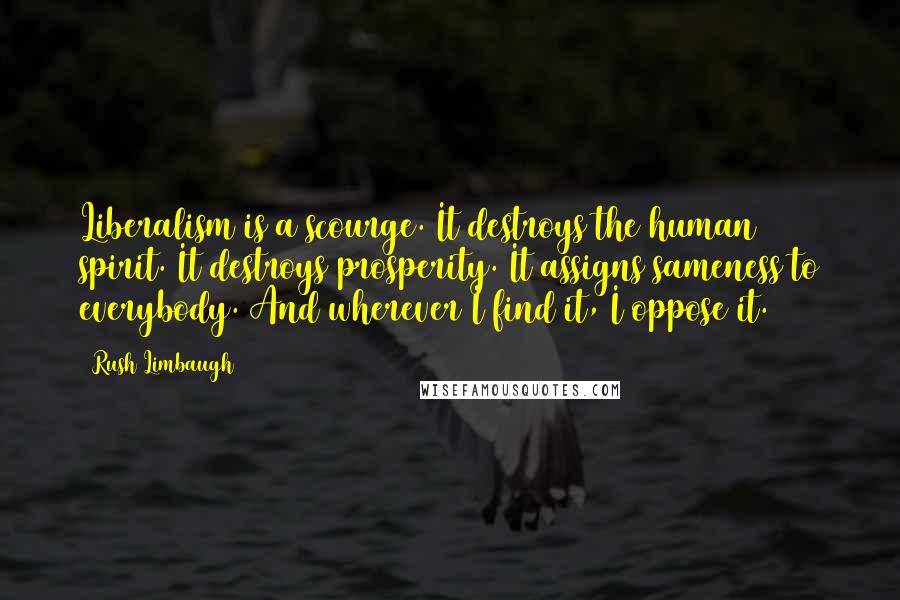 Rush Limbaugh Quotes: Liberalism is a scourge. It destroys the human spirit. It destroys prosperity. It assigns sameness to everybody. And wherever I find it, I oppose it.