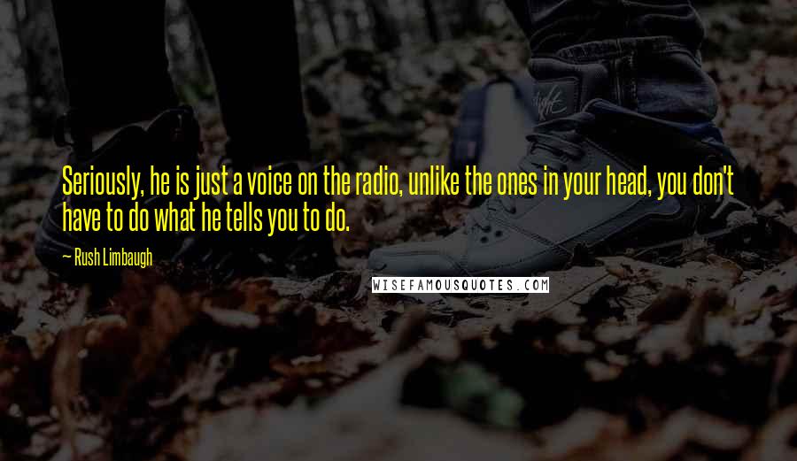 Rush Limbaugh Quotes: Seriously, he is just a voice on the radio, unlike the ones in your head, you don't have to do what he tells you to do.