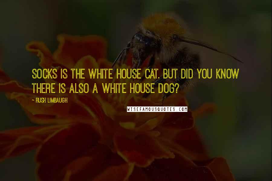 Rush Limbaugh Quotes: Socks is the White House cat. But did you know there is also a White House dog?