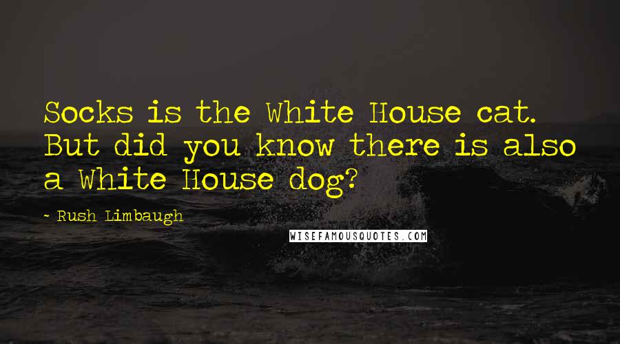 Rush Limbaugh Quotes: Socks is the White House cat. But did you know there is also a White House dog?