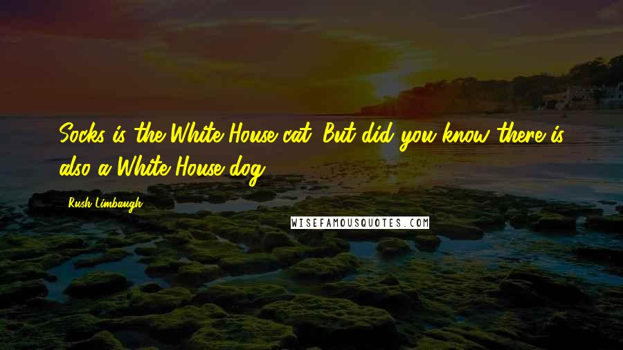 Rush Limbaugh Quotes: Socks is the White House cat. But did you know there is also a White House dog?