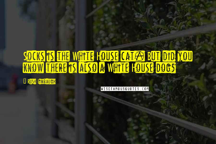 Rush Limbaugh Quotes: Socks is the White House cat. But did you know there is also a White House dog?