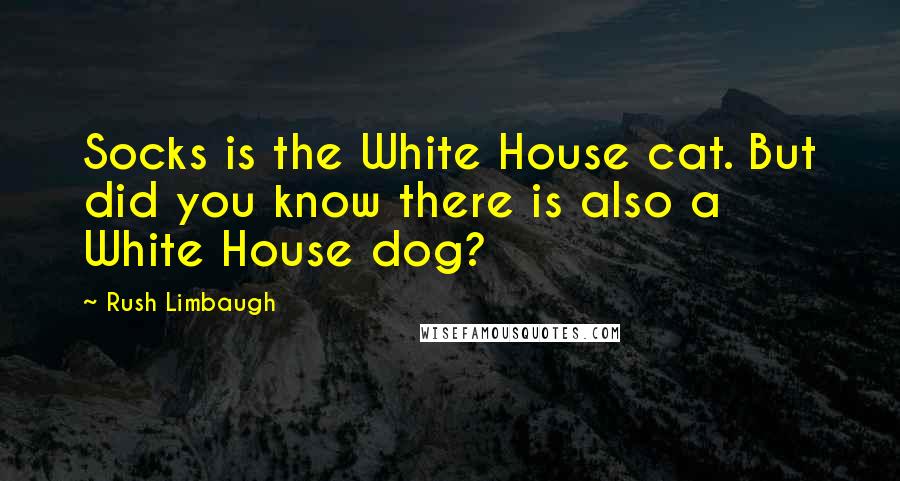 Rush Limbaugh Quotes: Socks is the White House cat. But did you know there is also a White House dog?