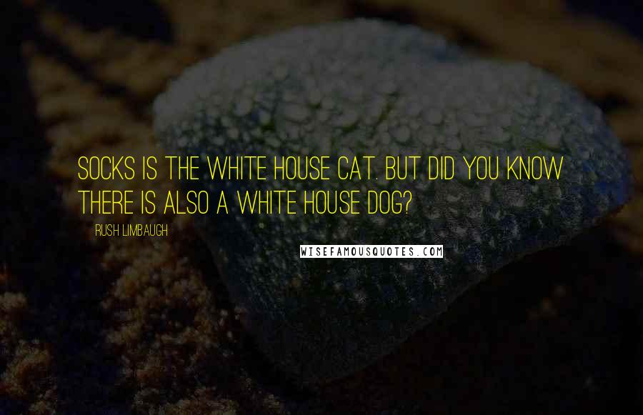 Rush Limbaugh Quotes: Socks is the White House cat. But did you know there is also a White House dog?