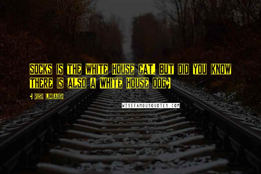 Rush Limbaugh Quotes: Socks is the White House cat. But did you know there is also a White House dog?