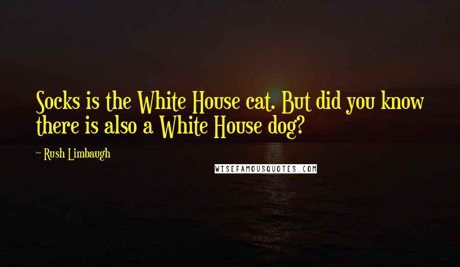 Rush Limbaugh Quotes: Socks is the White House cat. But did you know there is also a White House dog?