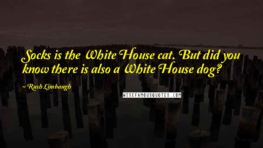 Rush Limbaugh Quotes: Socks is the White House cat. But did you know there is also a White House dog?