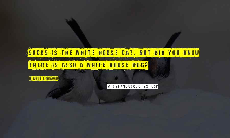 Rush Limbaugh Quotes: Socks is the White House cat. But did you know there is also a White House dog?