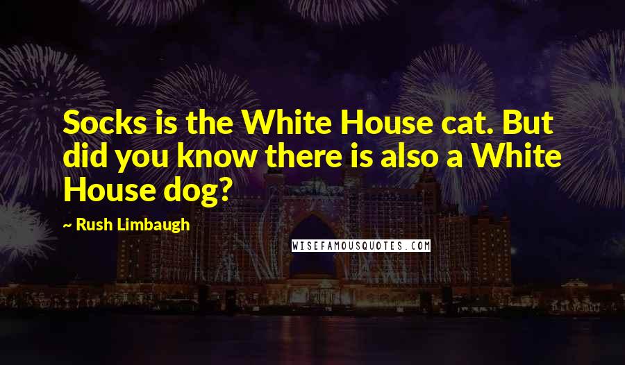 Rush Limbaugh Quotes: Socks is the White House cat. But did you know there is also a White House dog?