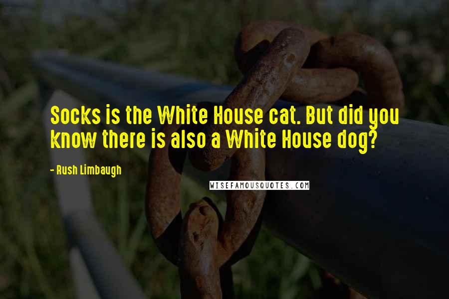 Rush Limbaugh Quotes: Socks is the White House cat. But did you know there is also a White House dog?