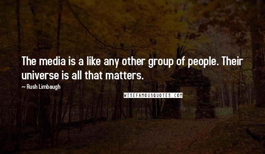 Rush Limbaugh Quotes: The media is a like any other group of people. Their universe is all that matters.