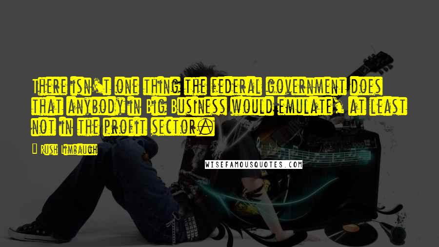 Rush Limbaugh Quotes: There isn't one thing the federal government does that anybody in Big Business would emulate, at least not in the profit sector.