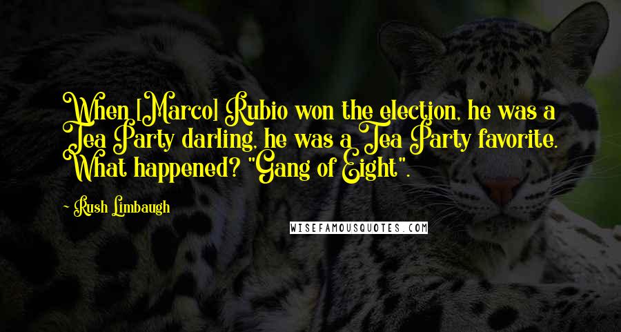 Rush Limbaugh Quotes: When [Marco] Rubio won the election, he was a Tea Party darling, he was a Tea Party favorite. What happened? "Gang of Eight".