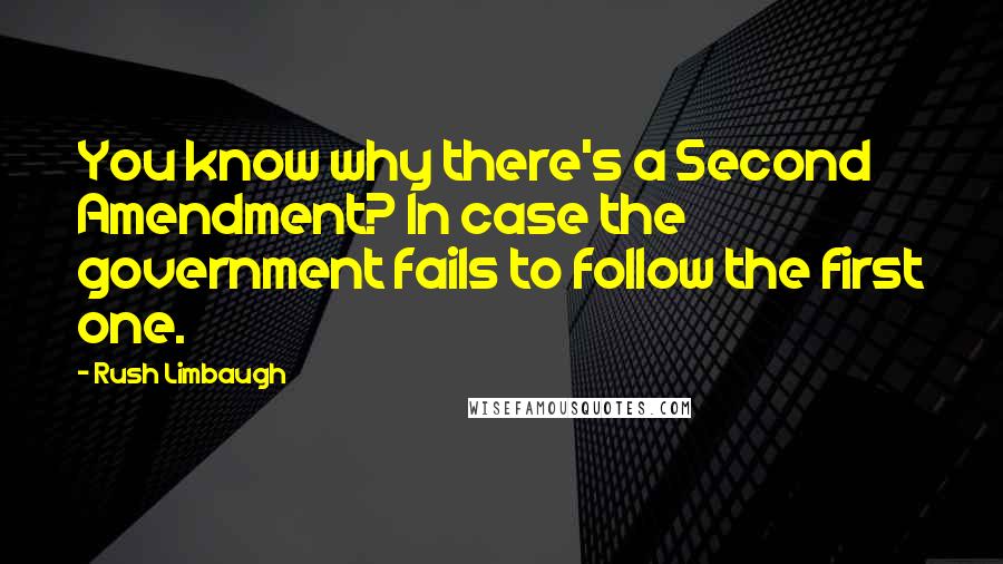 Rush Limbaugh Quotes: You know why there's a Second Amendment? In case the government fails to follow the first one.