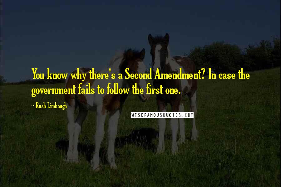 Rush Limbaugh Quotes: You know why there's a Second Amendment? In case the government fails to follow the first one.