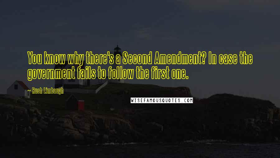 Rush Limbaugh Quotes: You know why there's a Second Amendment? In case the government fails to follow the first one.