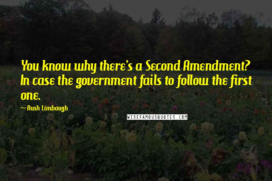 Rush Limbaugh Quotes: You know why there's a Second Amendment? In case the government fails to follow the first one.