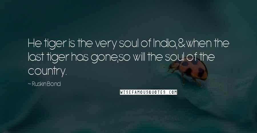 Ruskin Bond Quotes: He tiger is the very soul of India,&when the last tiger has gone,so will the soul of the country.