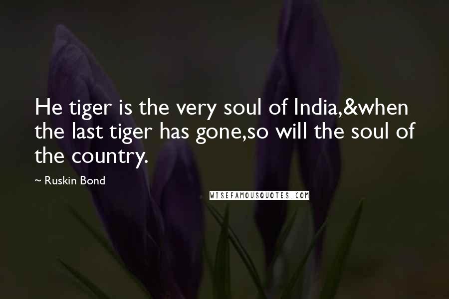 Ruskin Bond Quotes: He tiger is the very soul of India,&when the last tiger has gone,so will the soul of the country.