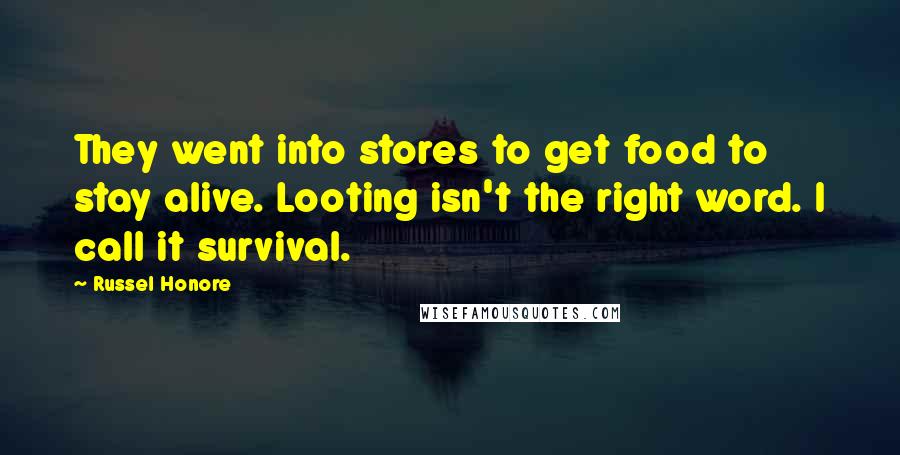 Russel Honore Quotes: They went into stores to get food to stay alive. Looting isn't the right word. I call it survival.