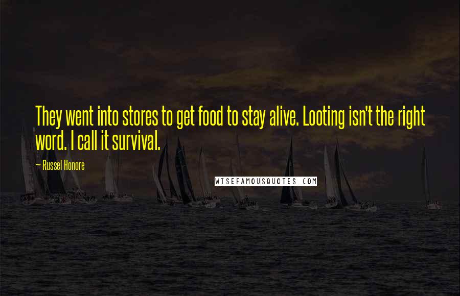 Russel Honore Quotes: They went into stores to get food to stay alive. Looting isn't the right word. I call it survival.