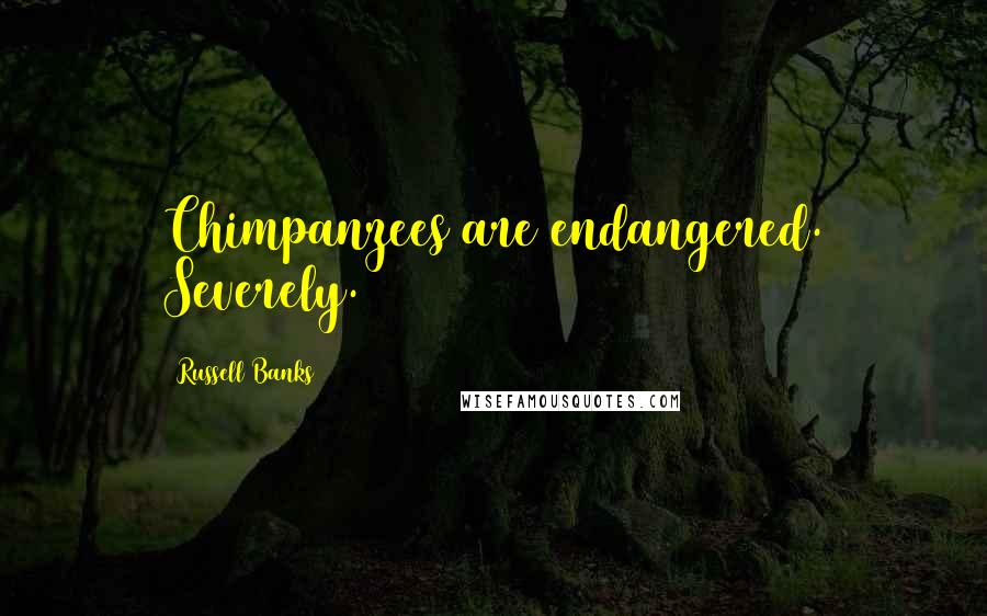 Russell Banks Quotes: Chimpanzees are endangered. Severely.