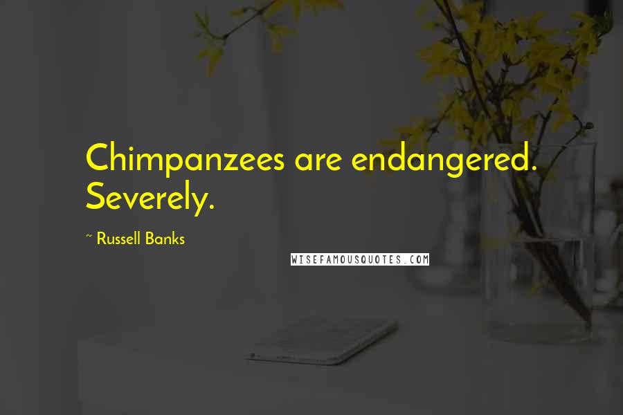 Russell Banks Quotes: Chimpanzees are endangered. Severely.