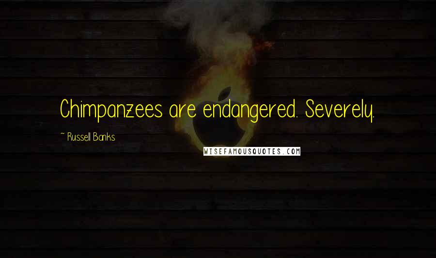 Russell Banks Quotes: Chimpanzees are endangered. Severely.