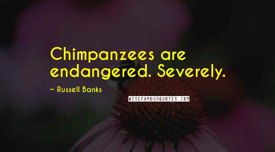 Russell Banks Quotes: Chimpanzees are endangered. Severely.