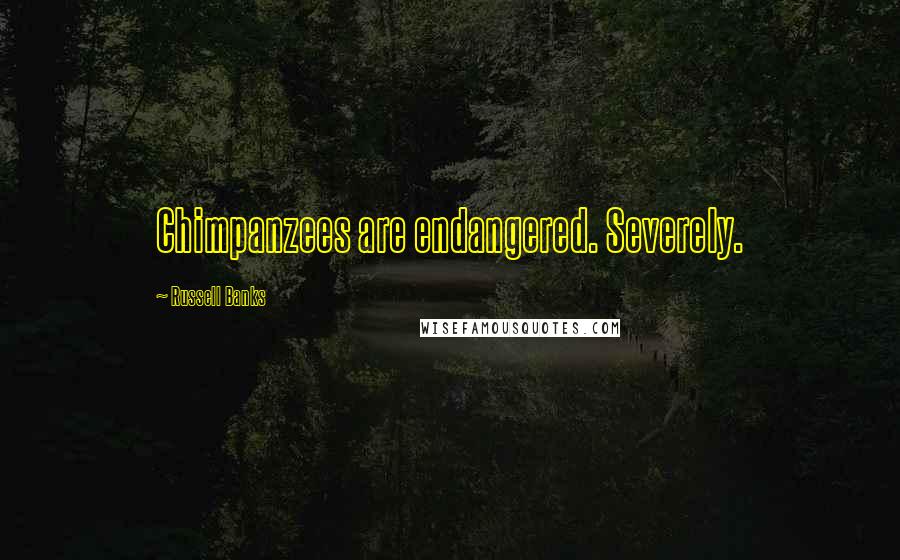 Russell Banks Quotes: Chimpanzees are endangered. Severely.