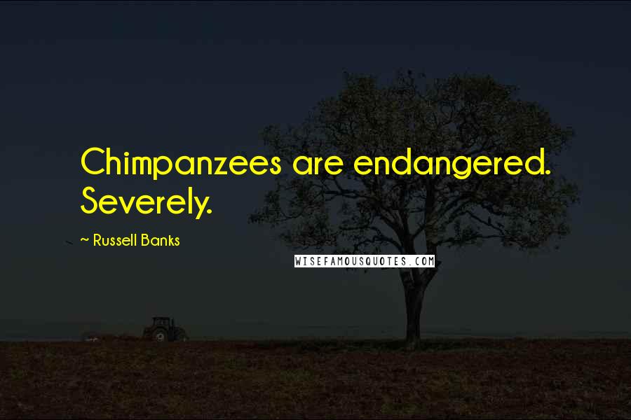 Russell Banks Quotes: Chimpanzees are endangered. Severely.