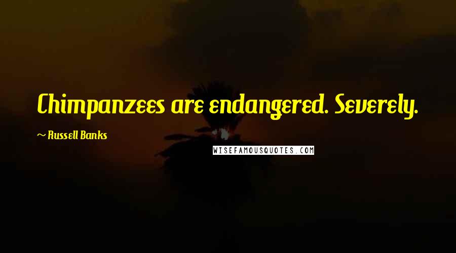 Russell Banks Quotes: Chimpanzees are endangered. Severely.