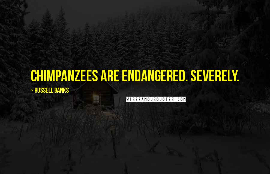 Russell Banks Quotes: Chimpanzees are endangered. Severely.