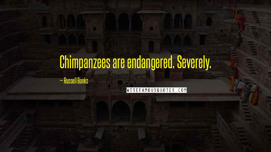 Russell Banks Quotes: Chimpanzees are endangered. Severely.