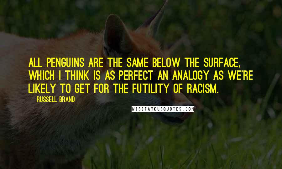 Russell Brand Quotes: All penguins are the same below the surface, which I think is as perfect an analogy as we're likely to get for the futility of racism.