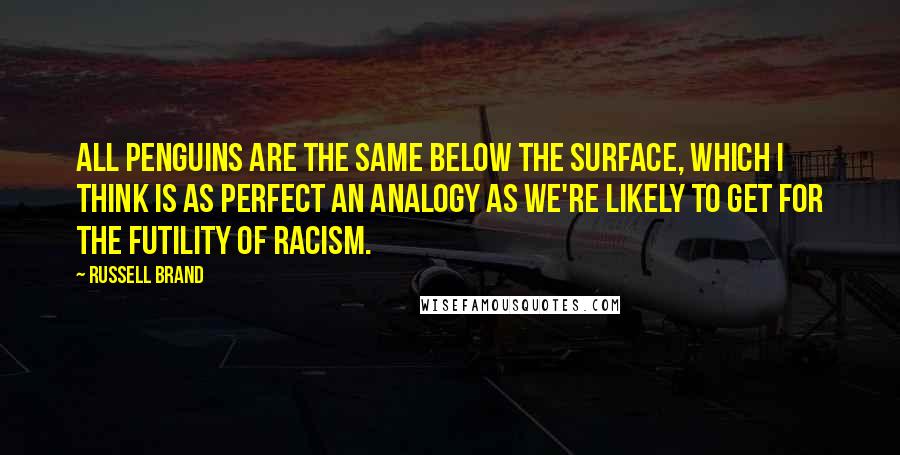 Russell Brand Quotes: All penguins are the same below the surface, which I think is as perfect an analogy as we're likely to get for the futility of racism.