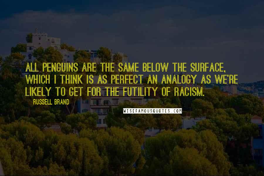 Russell Brand Quotes: All penguins are the same below the surface, which I think is as perfect an analogy as we're likely to get for the futility of racism.