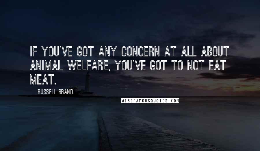 Russell Brand Quotes: If you've got any concern at all about animal welfare, you've got to not eat meat.