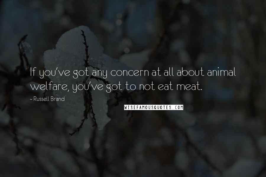 Russell Brand Quotes: If you've got any concern at all about animal welfare, you've got to not eat meat.