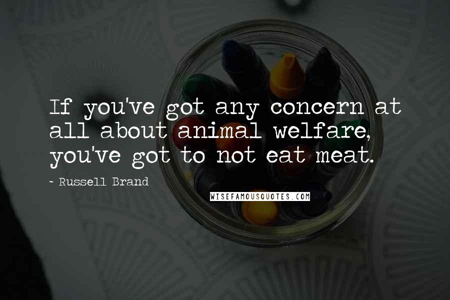 Russell Brand Quotes: If you've got any concern at all about animal welfare, you've got to not eat meat.