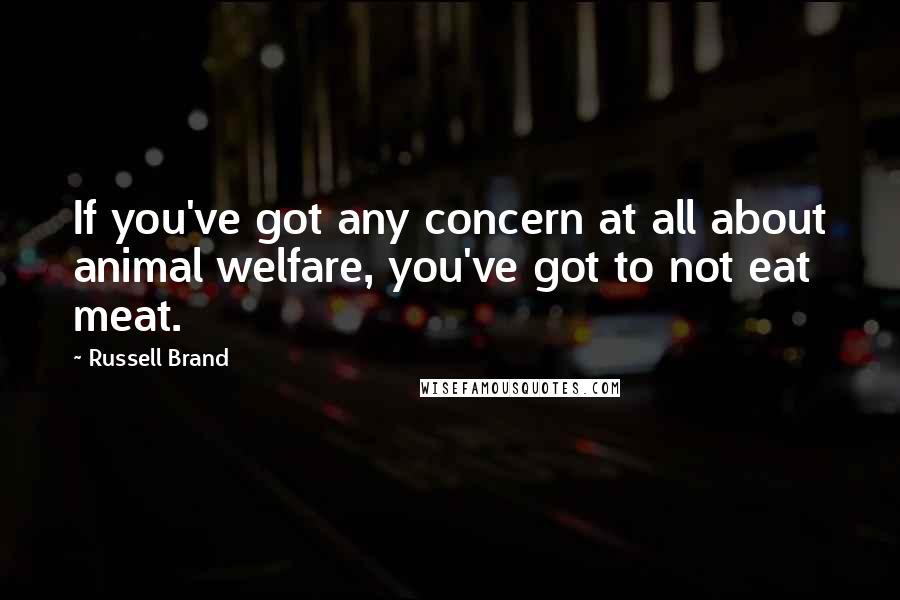 Russell Brand Quotes: If you've got any concern at all about animal welfare, you've got to not eat meat.