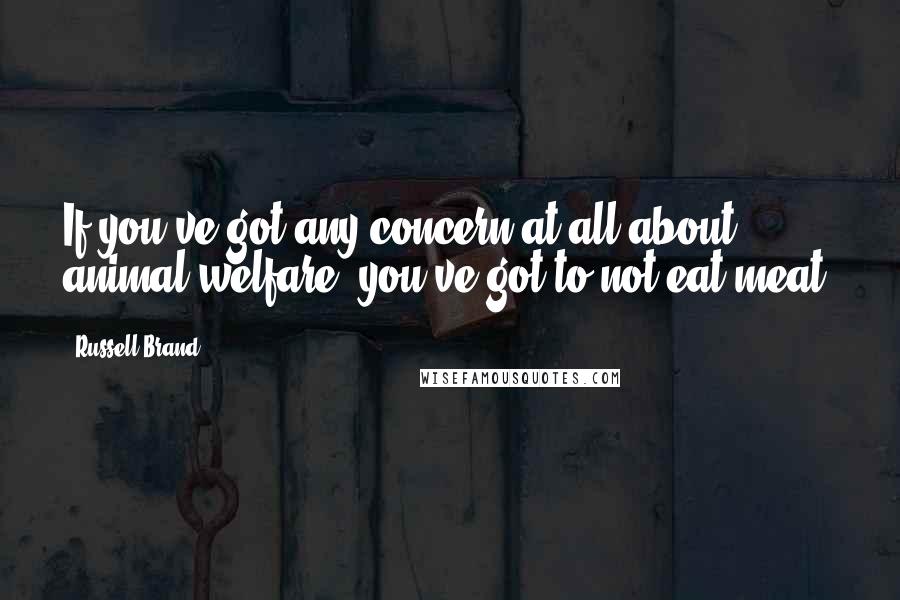 Russell Brand Quotes: If you've got any concern at all about animal welfare, you've got to not eat meat.