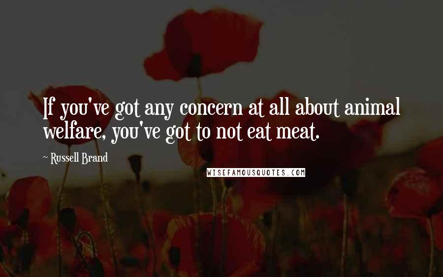 Russell Brand Quotes: If you've got any concern at all about animal welfare, you've got to not eat meat.