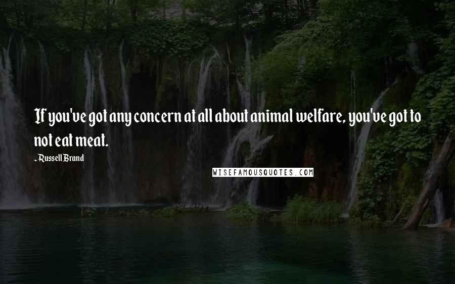 Russell Brand Quotes: If you've got any concern at all about animal welfare, you've got to not eat meat.